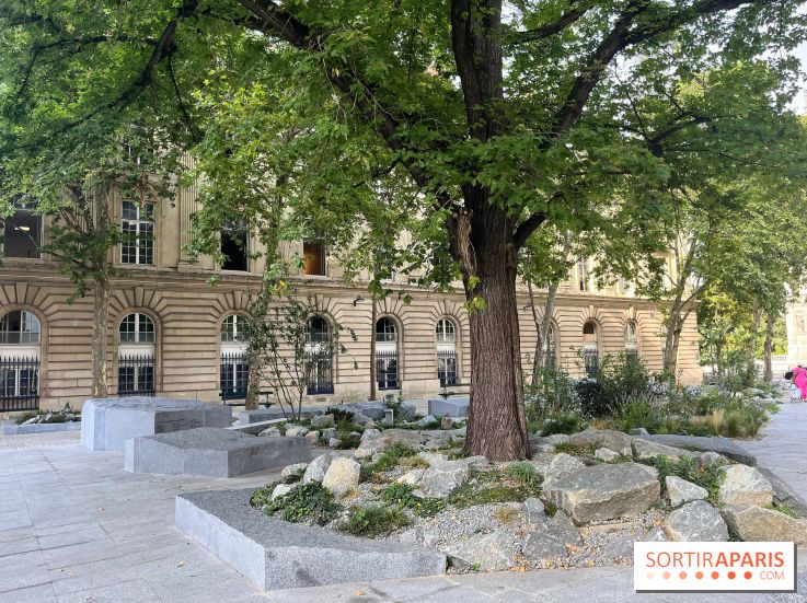 Jardin mémoriel du 13 novembre 2015 - nos photos - 1413BAA0 564C 47E1 BC7C 8458F39A1973