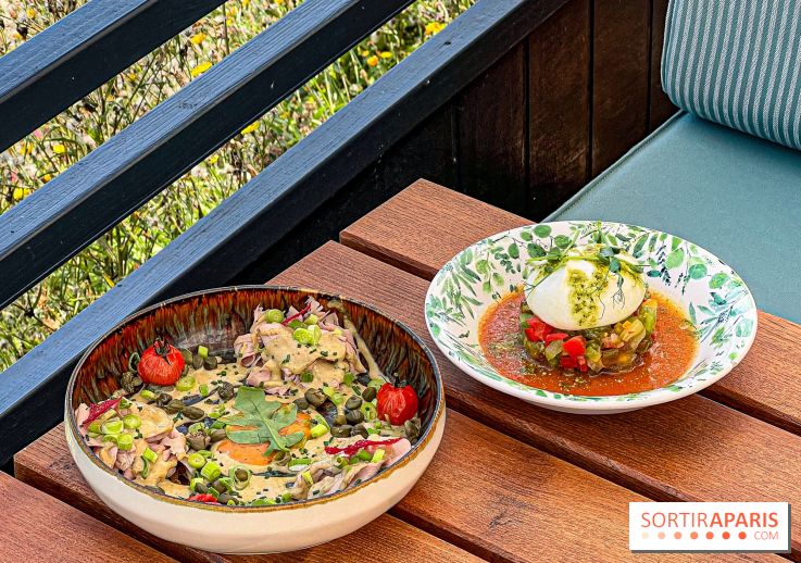 La Casa, Médan (78) - IMG 3105 jpg 2