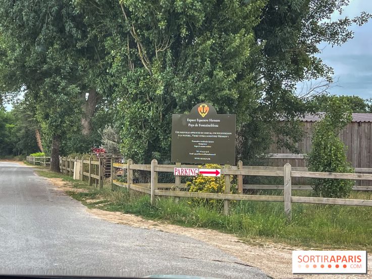 Balade en chevaux Henson en forêt de Fontainebleau  - IMG 1986