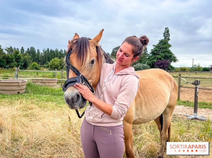 Balade en chevaux Henson en forêt de Fontainebleau