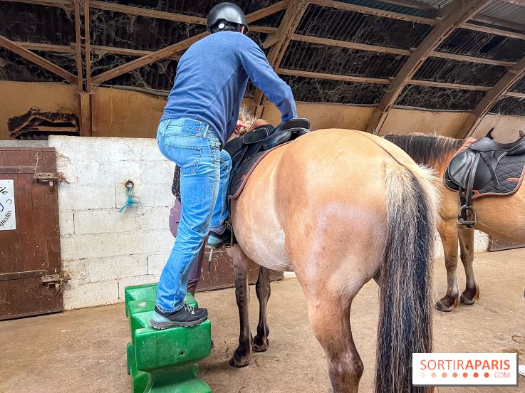 Balade en chevaux Henson en forêt de Fontainebleau