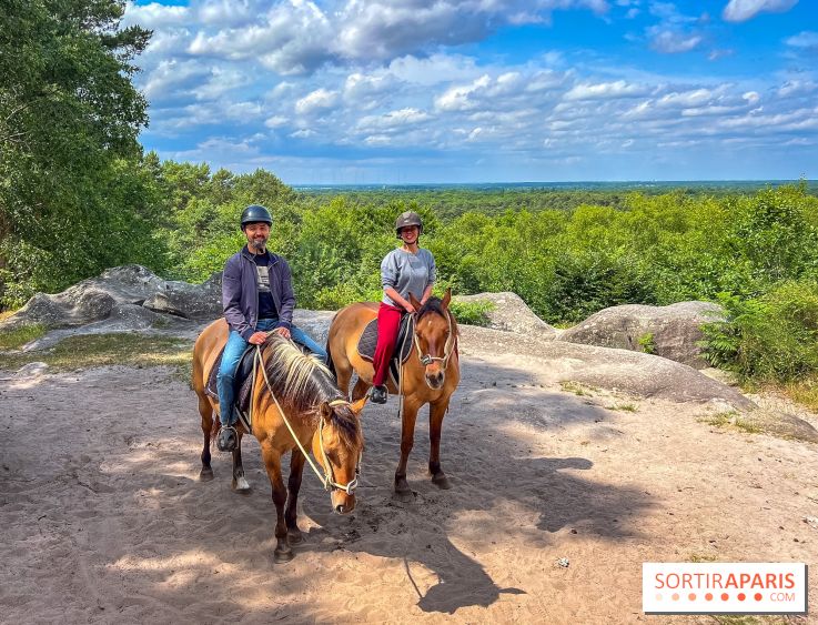 Balade en chevaux Henson en forêt de Fontainebleau  - IMG 2049