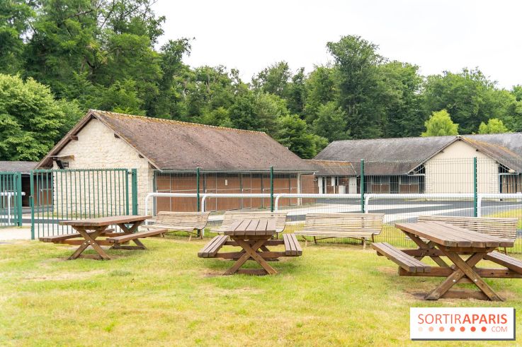 L'Hippodrome de la Solle à Fontainebleau - photos - A7C02773