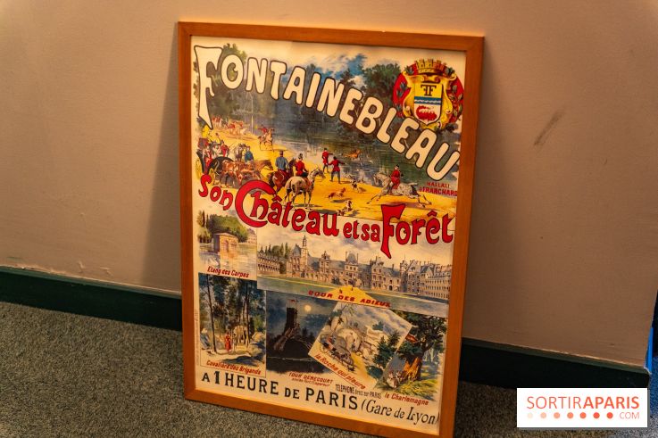 L'Hippodrome de la Solle à Fontainebleau - photos - A7C02776