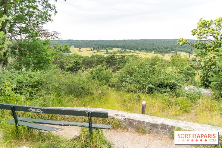 L'Hippodrome de la Solle à Fontainebleau - photos - A7C02778