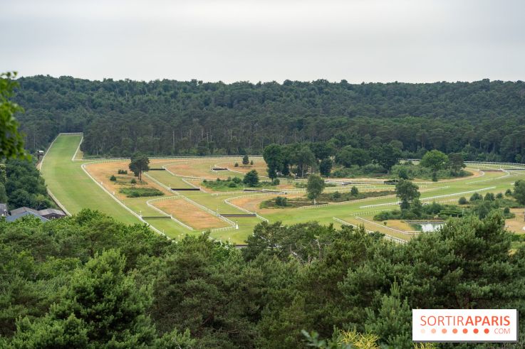 L'Hippodrome de la Solle à Fontainebleau - photos - A7C02781