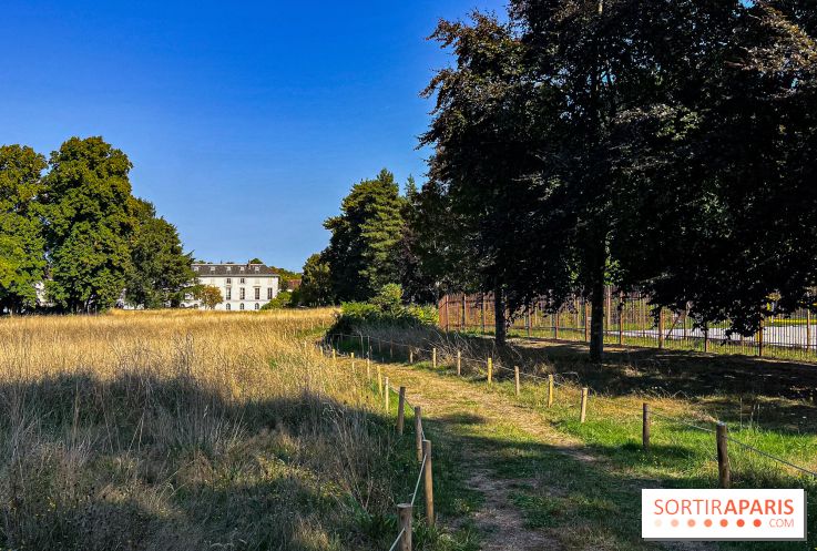 Parc de la Roseraie Châtenay - IMG 4443 jpg 2