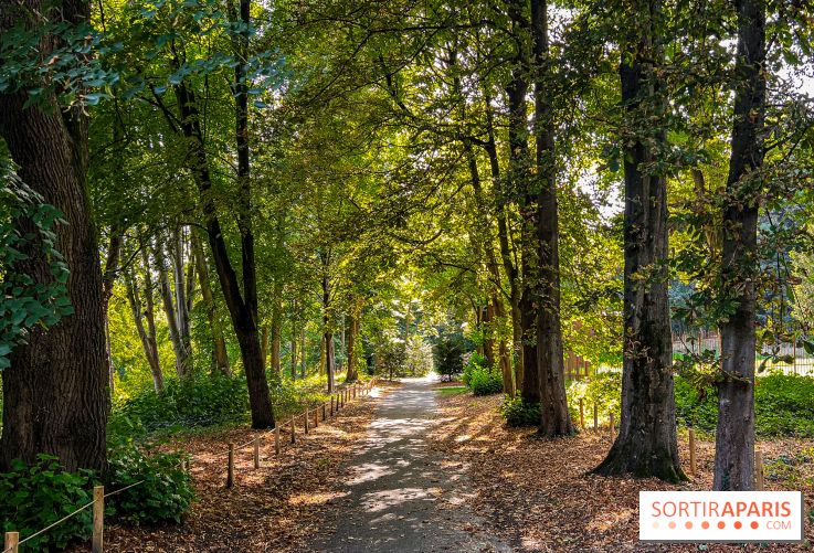 Parc de la Roseraie Châtenay - IMG 4458 jpg 2