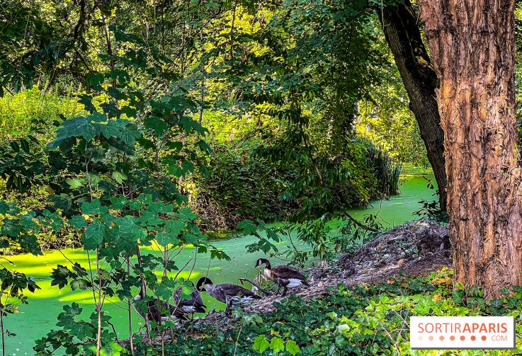 Parc de la Roseraie à Chatenay Malabry (92) : 8 hectares de verdure classés Monument Historique