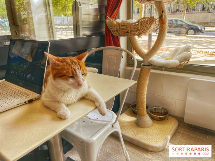 Chat-Rivari Café
