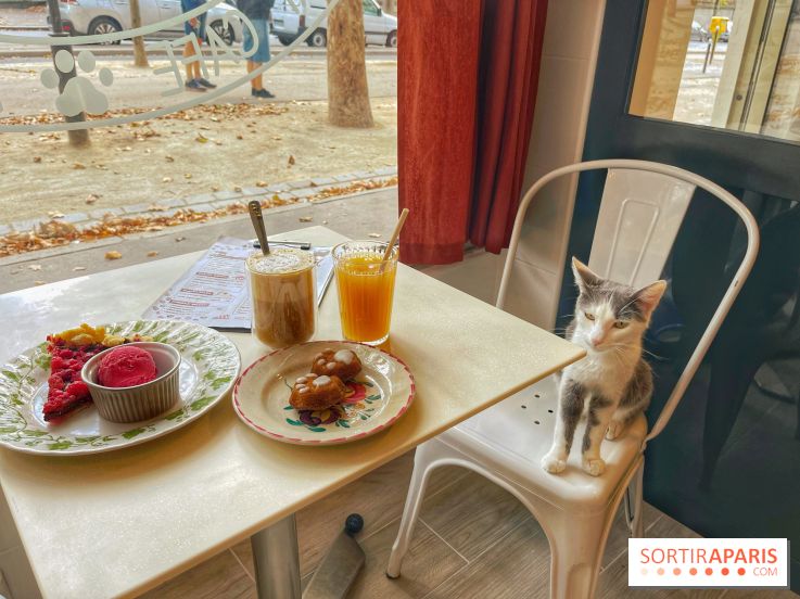 Chat-Rivari Café