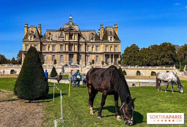 Tous en piste ! à Maisons-Laffitte (78): poneys, calèche et spectacles équestres gratuits au château