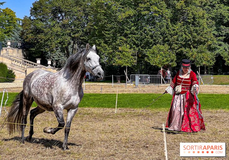 Tous en piste ! à Maisons-Laffitte (78): poneys, calèche et spectacles équestres gratuits au château - IMG 8323 jpg