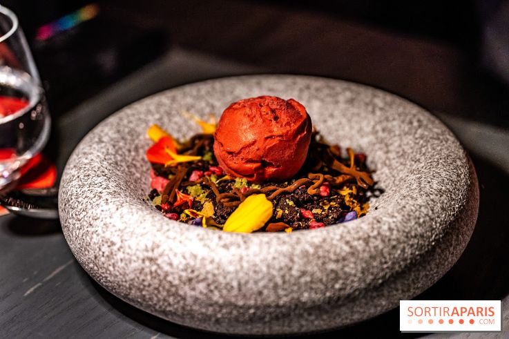 Aqua Kyoto Paris, le rooftop japonais sur les Champs-Elysées - photos - A7C07336