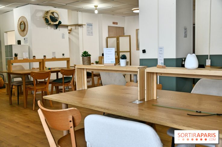Koneko Work : le café coworking pour travailler en compagnie des chats