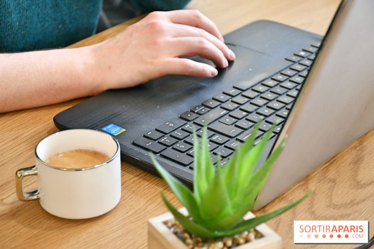 Koneko Work : le café coworking pour travailler en compagnie des chats - DSC 5243