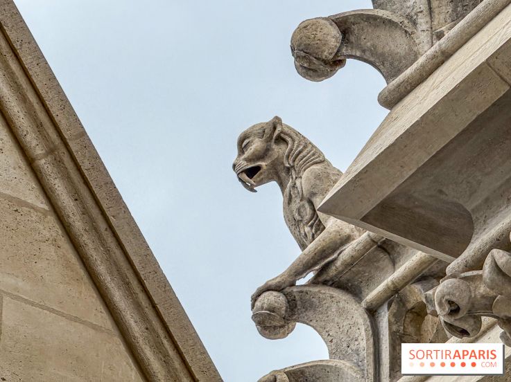 Visite des tours de Notre-Dame de Paris