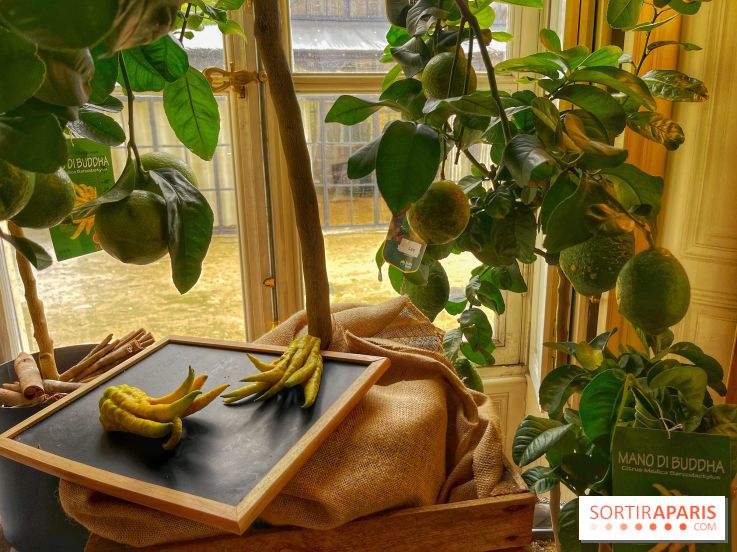 L'art des parfumeurs - IMG 5548