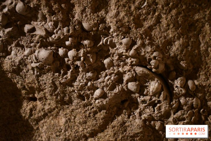 Les caves de Pontoise, visite des souterrains