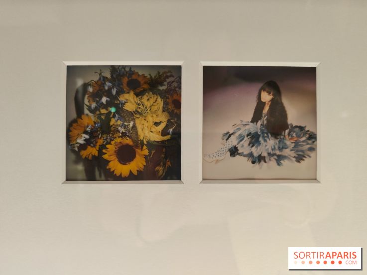 Polaraki, mille polaroids d'Araki Nobuyoshi : l'exposition du musée Guimet se dévoile