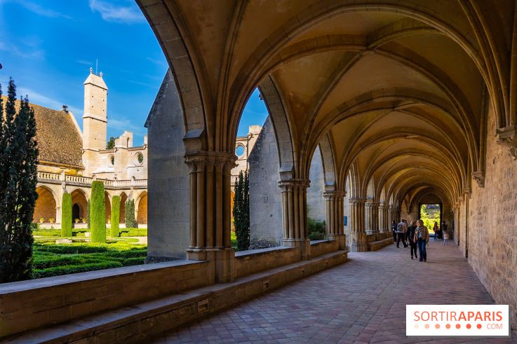 Les spectacles du dimanche de l'Abbaye de Royaumont dans le Val-d'Oise - A7C08374