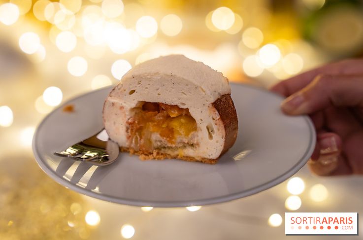 la Bûche de Noêl du Mandarin Oriental Lutetia aux Lumières de Paris - A7C08076