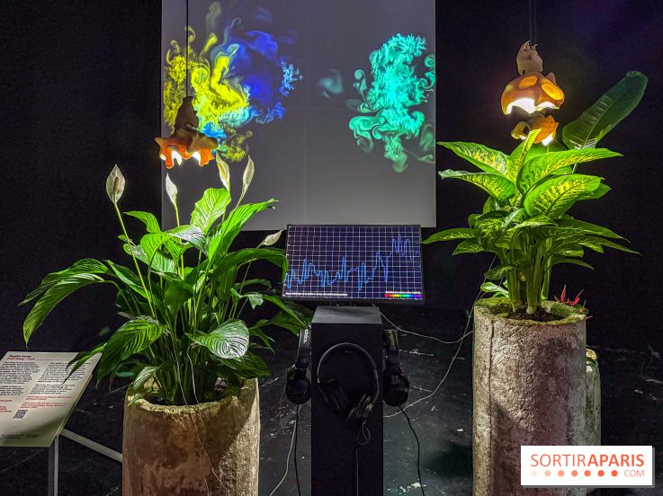 Exposition Les Illusions retrouvées au CENTQUATRE-Paris : les nouvelles utopies de l’ère numérique - IMG 9253