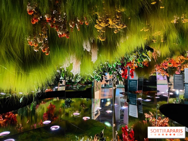 Jardiner : une exposition au cœur de la nature à vivre à la Cité des Sciences et de l'Industrie