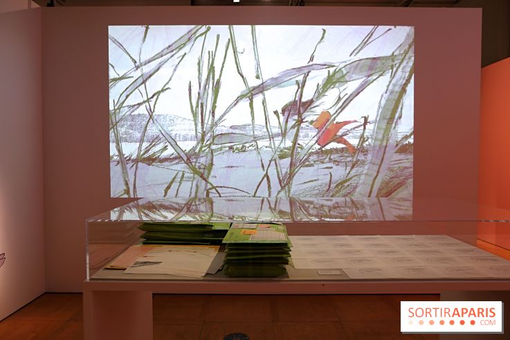 Isao Takahata - Pionnier du dessin animé contemporain, de l’après-guerre au Studio Ghibli, nos photos de l'expo