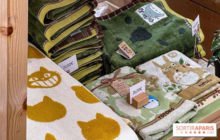 Maison Ghibli : le pop-up store officiel du studio d'animation japonais à Paris - 65D0C4F7 73F5 403A B3B5 69338284C1E0
