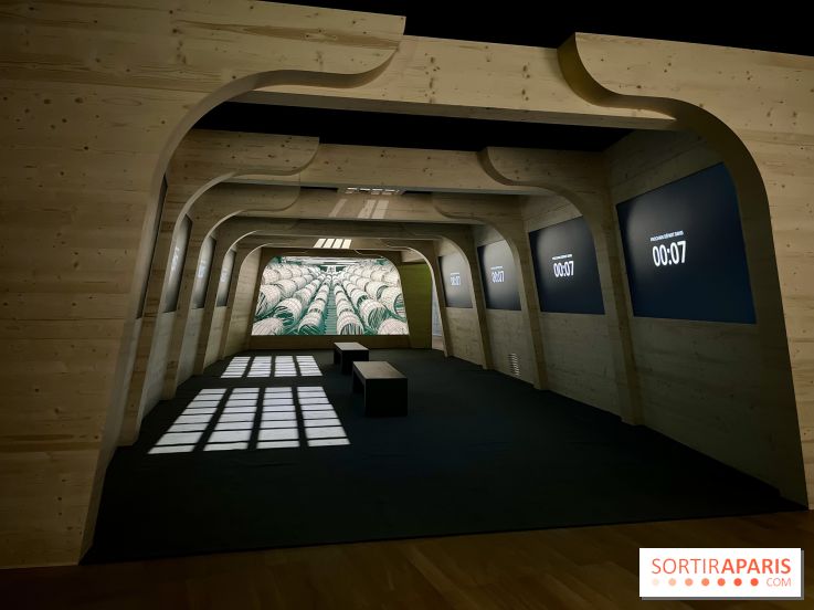 Dans le sillage de Magellan - IMG 6866