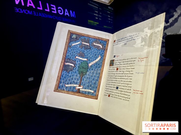 Dans le sillage de Magellan - IMG 6904