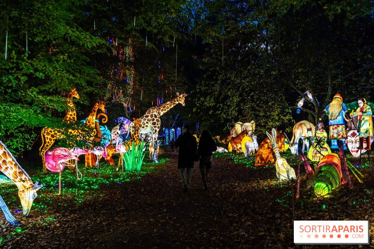 Thoiry Lumières Sauvages 2025 : le Bal des Esprits - A7C09493