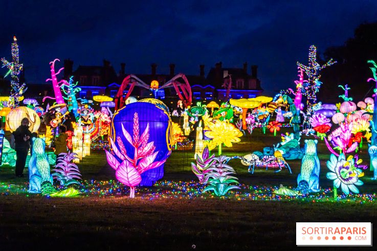 Thoiry Lumières Sauvages 2025 : le Bal des Esprits - A7C09505