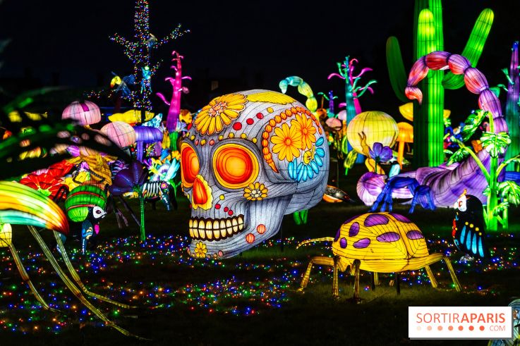 Thoiry Lumières Sauvages 2025 : le Bal des Esprits - A7C09511