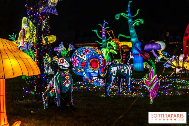 Thoiry Lumières Sauvages 2025 : le Bal des Esprits - A7C09523