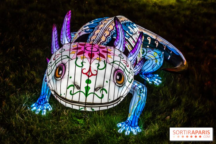 Thoiry Lumières Sauvages 2025 : le Bal des Esprits - A7C09526