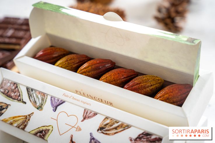 Les Bûches de Noël de Pleincœur par Maxime Frédéric 2025 et ses créations de fêtes - A7C07682