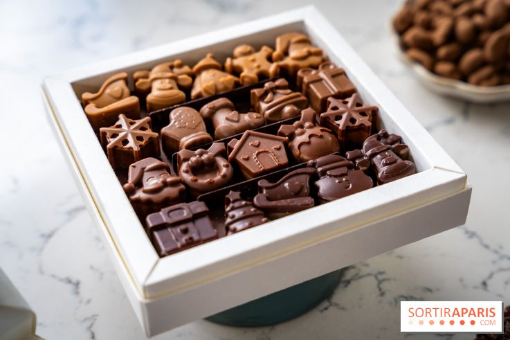 Les Bûches de Noël de Pleincœur par Maxime Frédéric 2025 et ses créations de fêtes - A7C07686