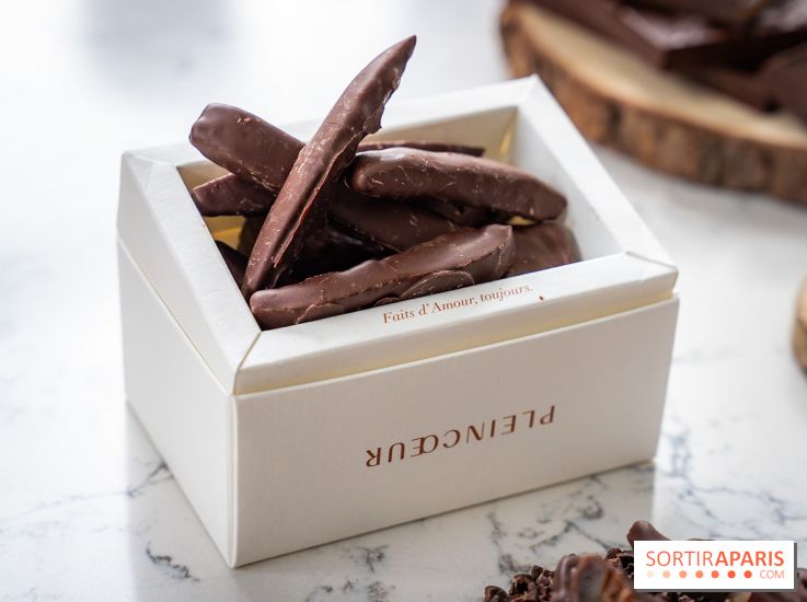 Les Bûches de Noël de Pleincœur par Maxime Frédéric 2025 et ses créations de fêtes - A7C07674