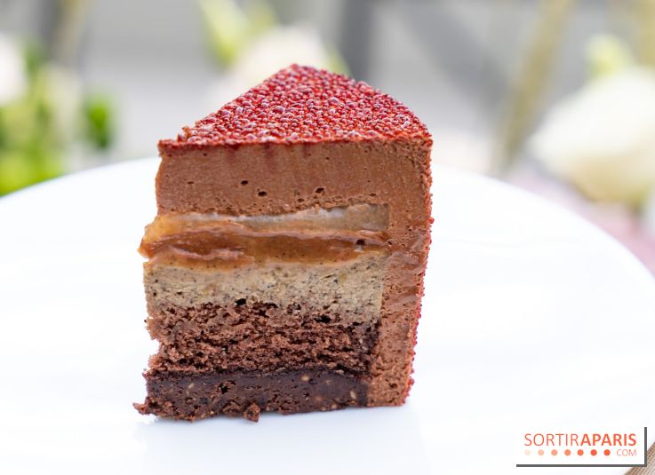 Bûche de Noël du Bristol 2025 signée Maxence Barbot : l'Art du Sommet - photos - A7C08956