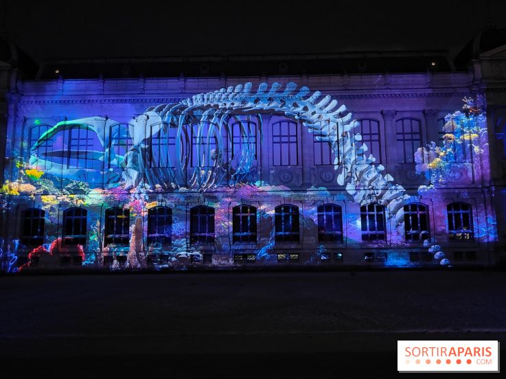 En voie d'illumination : Lumières de la nature : le festival nocturne hivernal du Jardin des Plantes - fotor 1762431492963