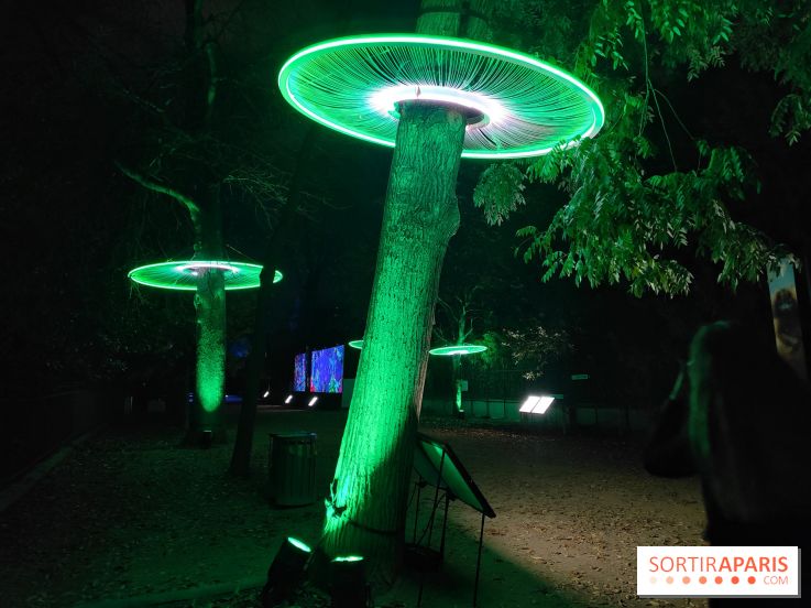 En voie d'illumination : Lumières de la nature : le festival nocturne hivernal du Jardin des Plantes - fotor 1762431293928