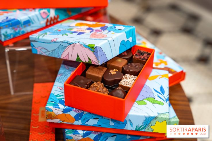 Bûche de Noël et créations de fête de Chapon 2025 - A7C07437