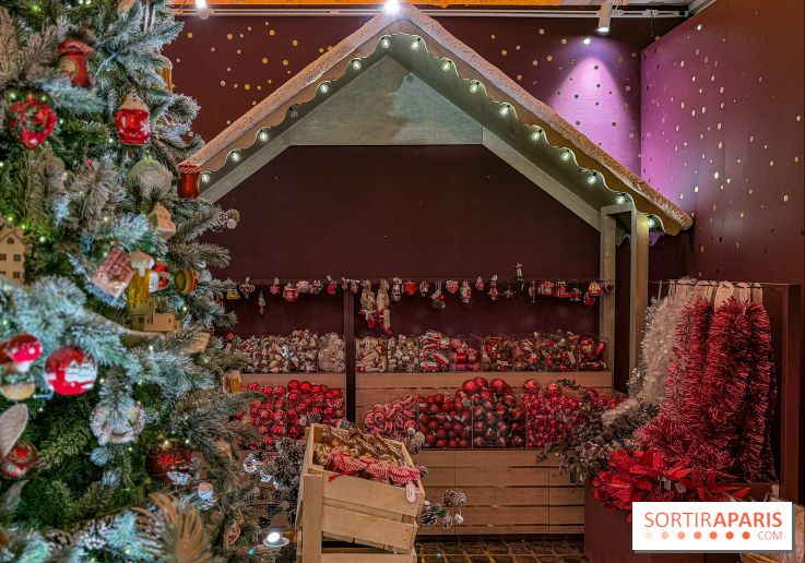 Les vitrines de Noël 2025 du Bon Marché : le grand magasin se métamorphose en (Bon) Marché de Noël