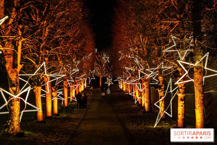 Lumières en Seine 2025, les photos du parcours de lumières - A7C00359