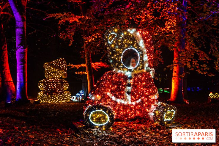 Lumières en Seine 2025, les photos du parcours de lumières - A7C00394