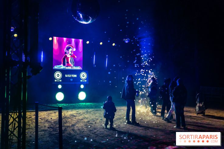 Lumières en Seine 2025, les photos du parcours de lumières - A7C00460