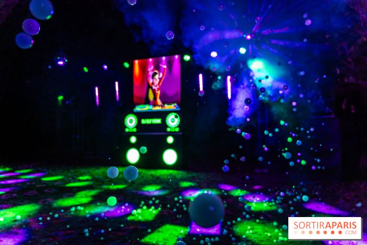 Lumières en Seine 2025, les photos du parcours de lumières - A7C00463