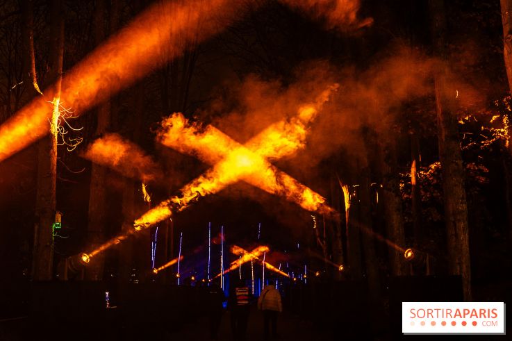 Lumières en Seine 2025, les photos du parcours de lumières - A7C00567